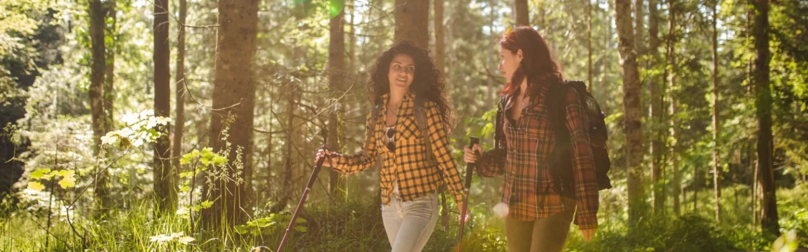 Ultimate Outdoor Adventures in Anaheim: Top Hiking Trails, Cycling Routes & Scenic Escapes