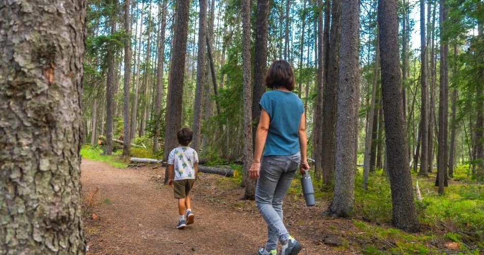Ultimate Outdoor Adventures in Anaheim: Top Hiking Trails, Cycling Routes & Scenic Escapes